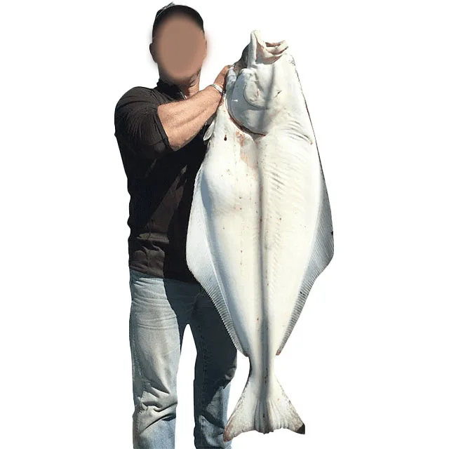 
Factory Wholesale Price Great Value Fresh Flounder Black Frozen Halibut For Money High Value 