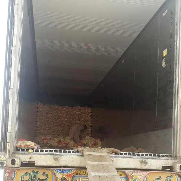 Potatoes High Quality Fresh Mozika Express Potatoes form Pakistan