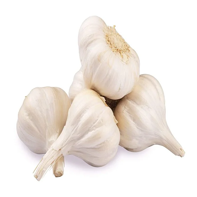 Low Price Fresh Garlic White Garlic Normal White Garlic