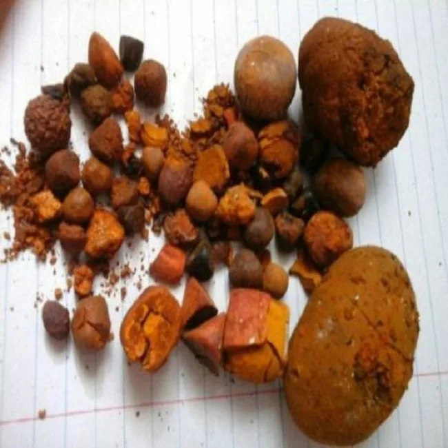 
Natural Bezoar (Gallstone) , Cow Bezoar Gallstones 