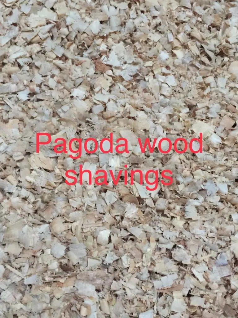 PINE WOOD SHAVINGS FOR POULTRY AND PET FARM - GOOD STANDARD WHATSAPP: +84 911406611