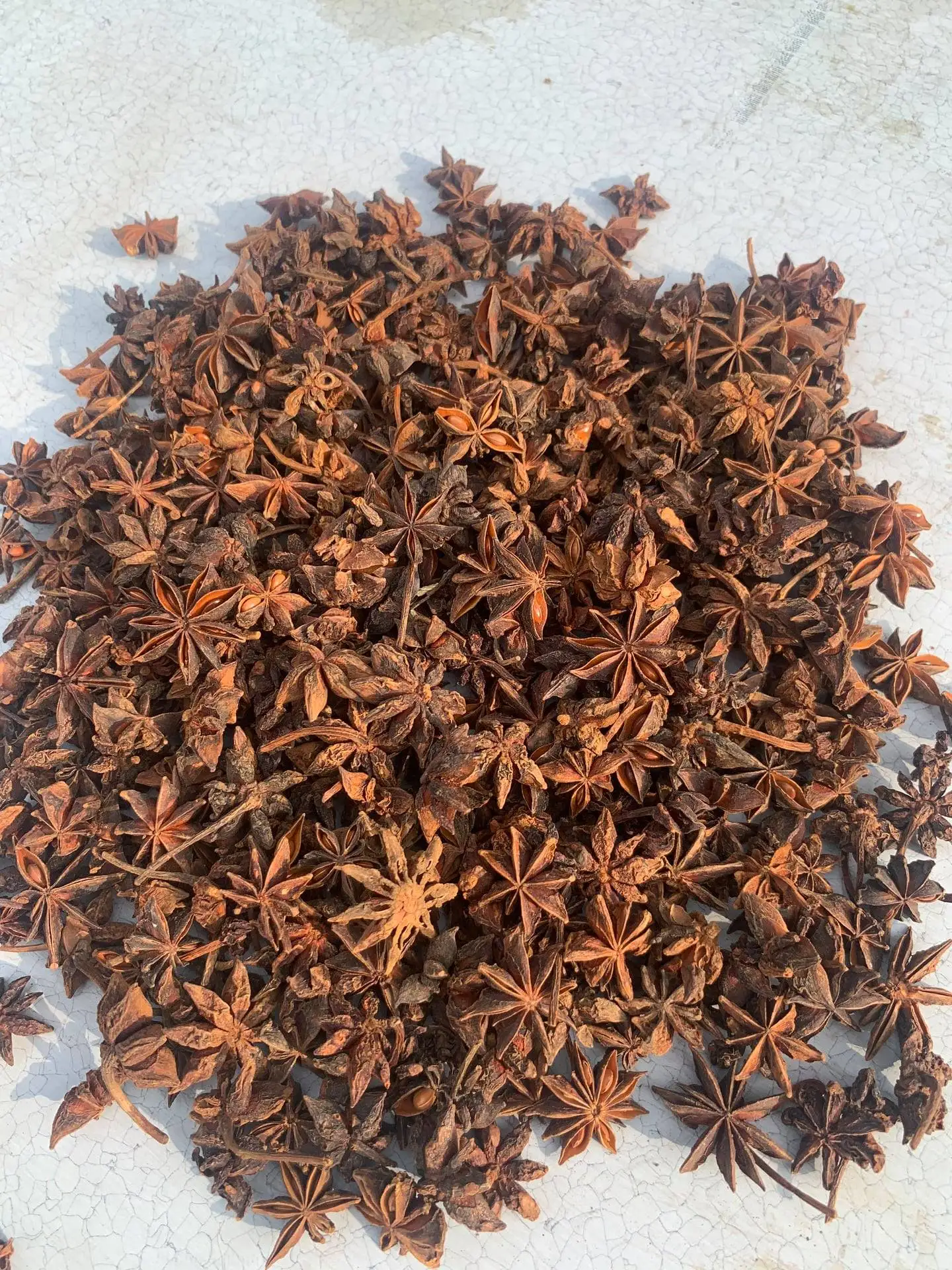 VIET NAM STAR ANISE GOOD QUALITY BEST PRICE FROM MANUFACTURER Ms Lynn +84 333 421 999