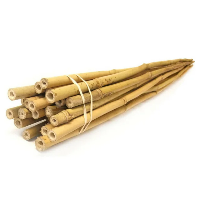 Natural Bamboo Pole cheap price LOW TAX from Vietnamese bamboo forest