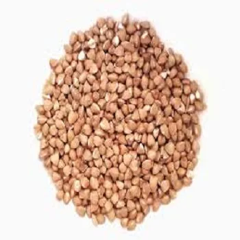 
 Hot Sale Wholesale Buckwheat Roasted/Roasted Price  