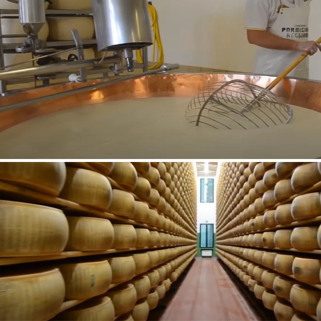 Premium Italian Grana Cheese Protected designation of origin (PDO) for Wholesale Retail Horeca