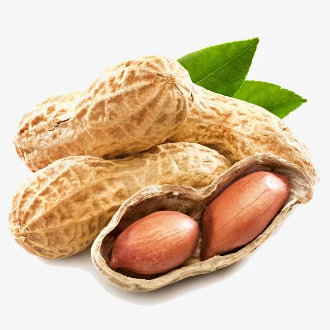 Peanut Inshell Roasted & Salted