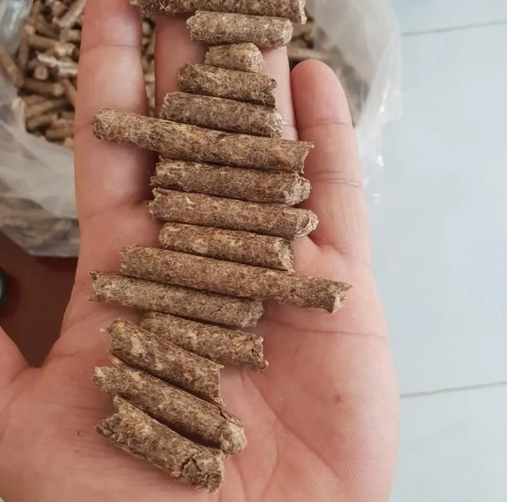 Hot Selling European Standard Wood Pellets