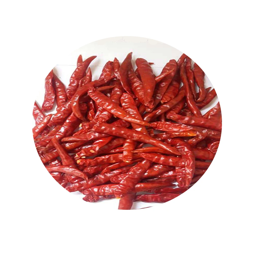 Indian Spices Dry Red Chillies TejaS17 Stemless