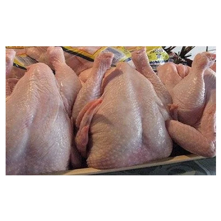 Premium Grade Halal Whole Chicken at Best Price