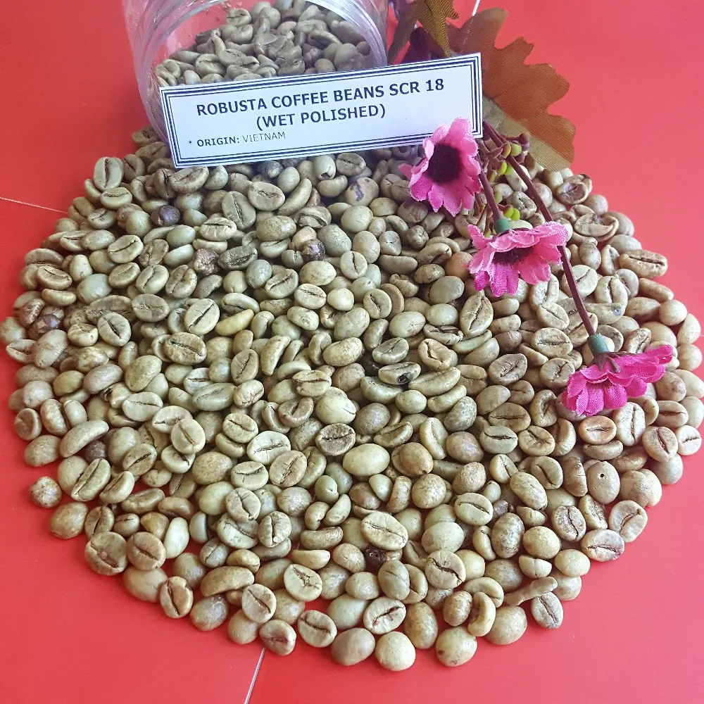 Кофе в зернах ROBUSTA SCR 18