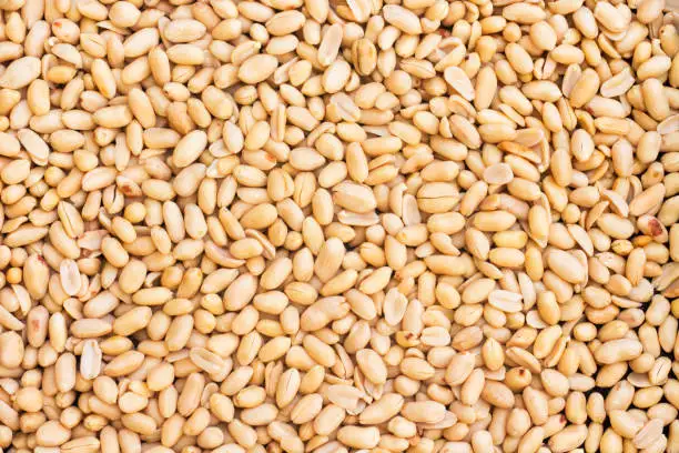 
400g Common Roasted Nibbles Australian Hi-Oleic Unsalted Roasted Peanut From Australia 