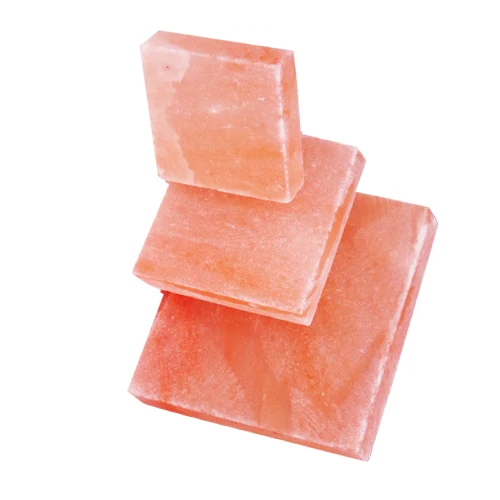 Super September Sale Cheap Price Natural Himalayan pink salt plate wholesale cooking slabs /bricks/tiles BBQ salt plate Himalayan Salt