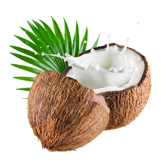
Whole Semi Husked Coconut Mature Wholesale 