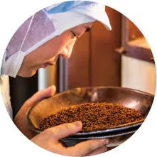 Commercial health tea Plantago asiatica L.