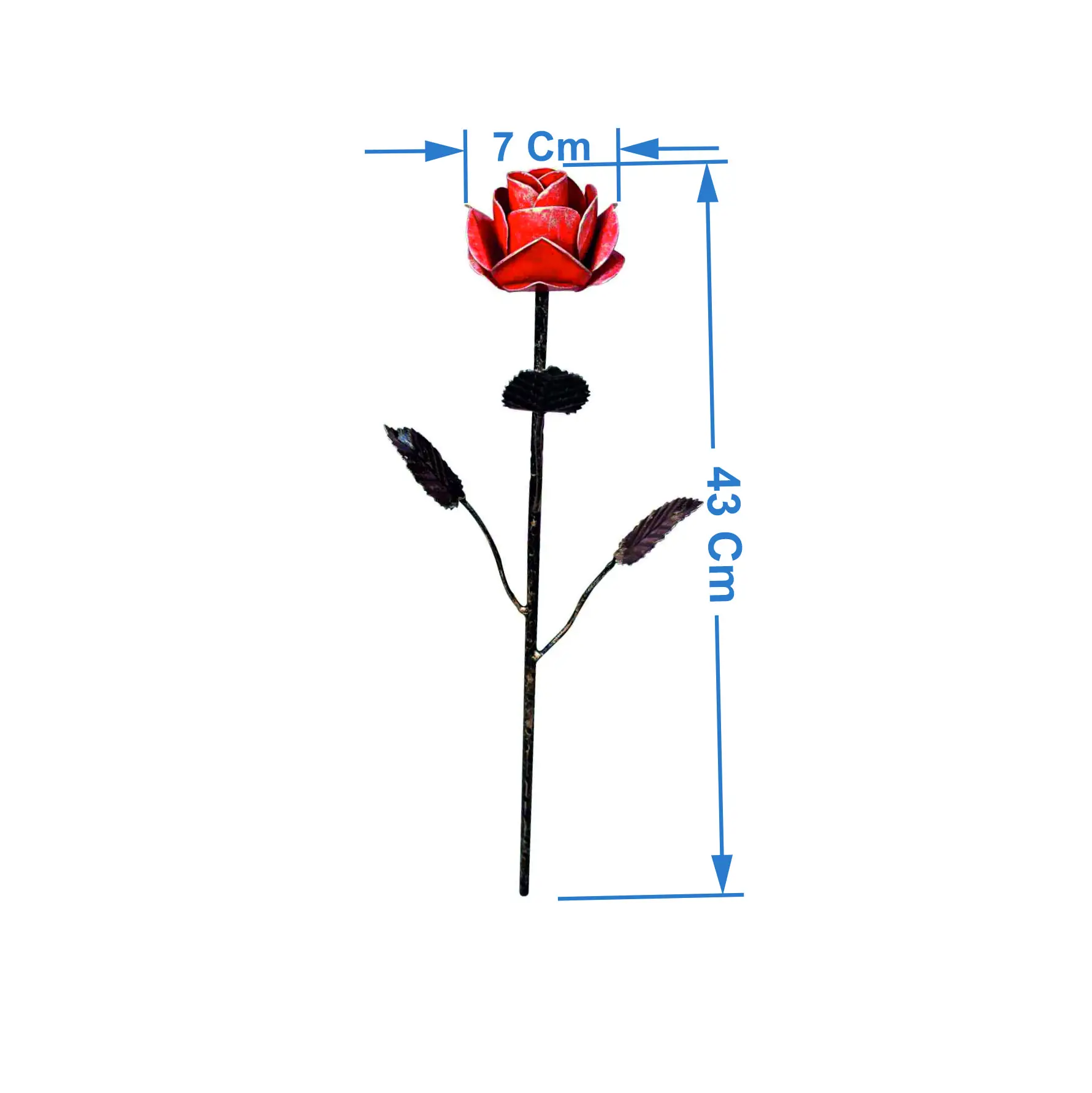 Size.jpg