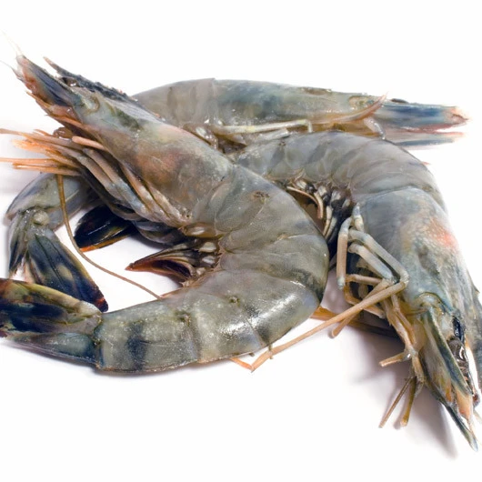  Белый корм для креветок/креветок с пресной водой/замороженный креветок vannamei