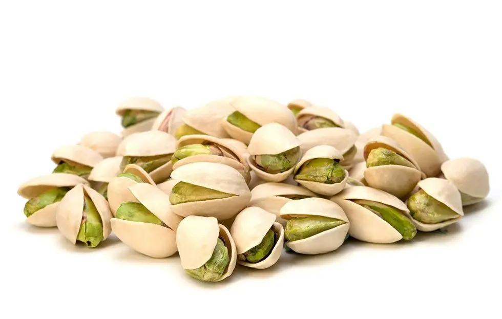 Salt - Pistachios Nuts Special Local Nutritious Affordable price Cheapest Nuts and Kernels Top exporter Healthy Premium