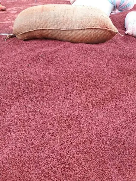 Лидер продаж вьетнамские Сушеные Семена карри семена аннато высококачественные красные кешью контакты Нэнси + 84 337 628 959