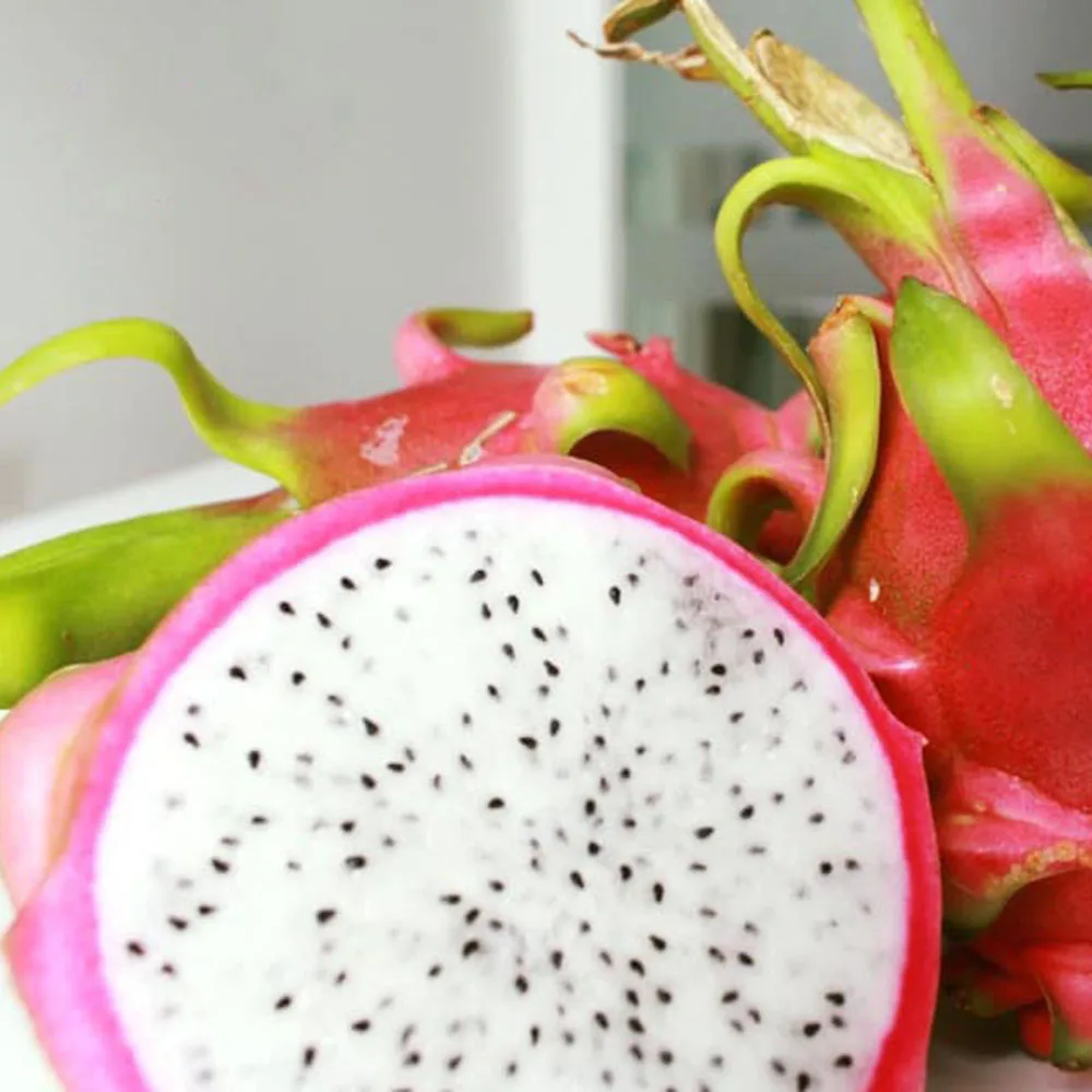 Белый плод дракона гарантированное новое и свежее/экспортное качество (порт хошиминь)