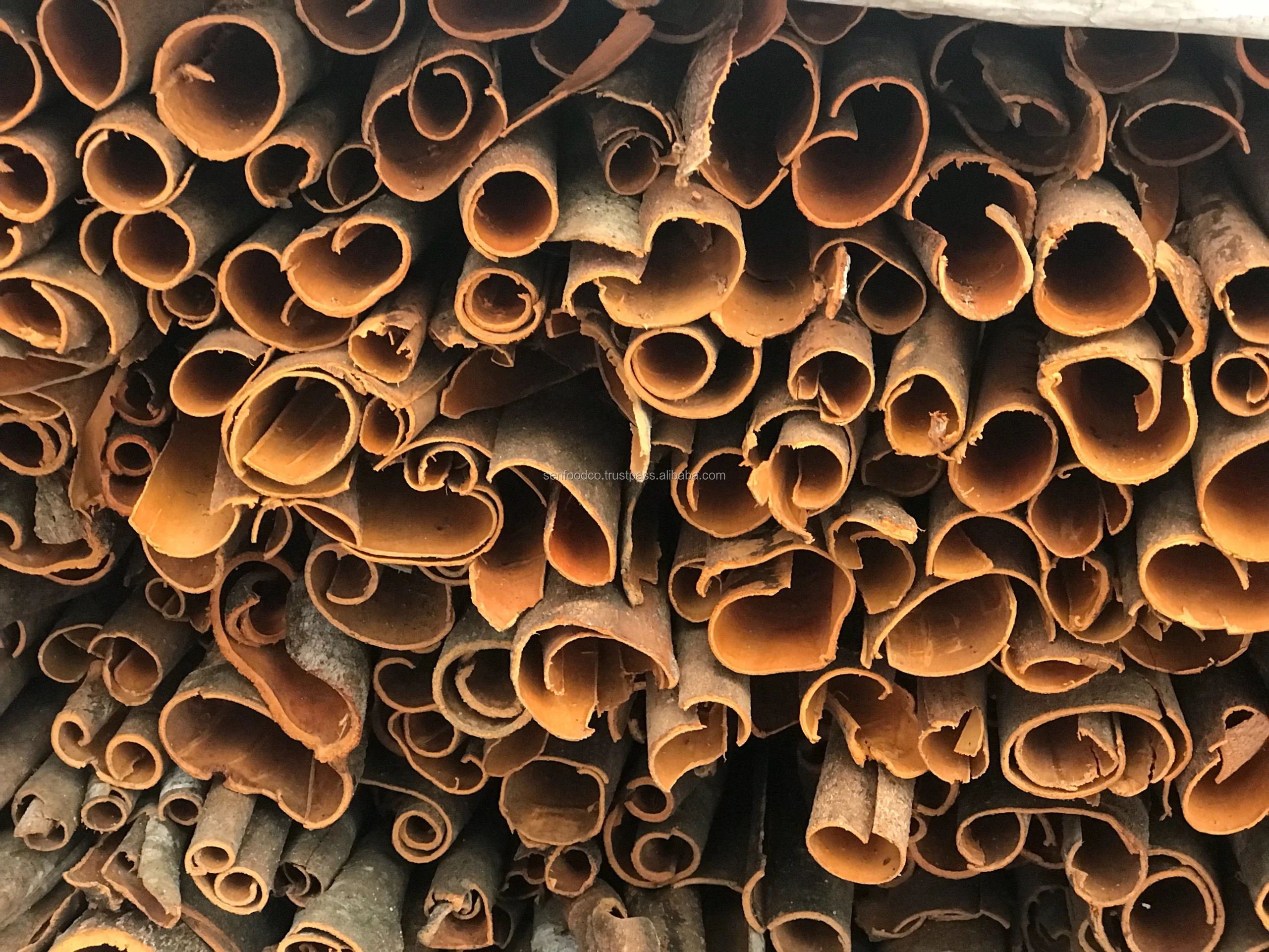 
BEST RATES SPLIT CASSIA COMPETITIVE PRICE 