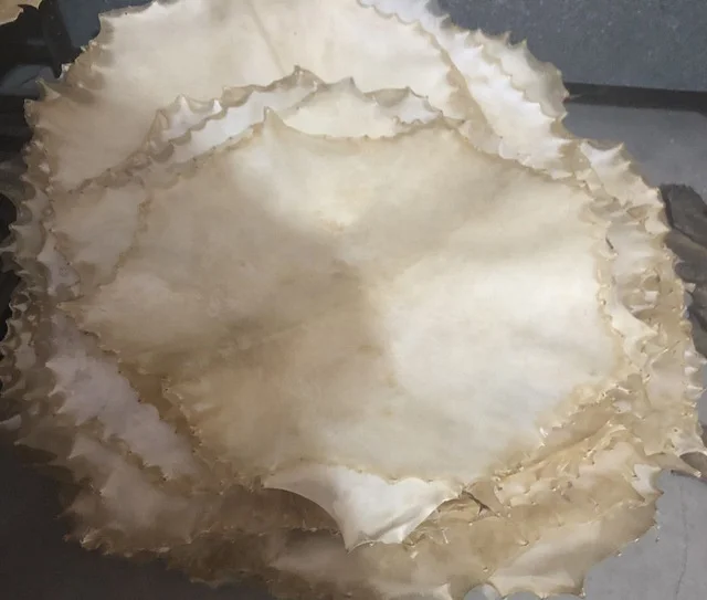 Кожаный чехол для барабана Vellum