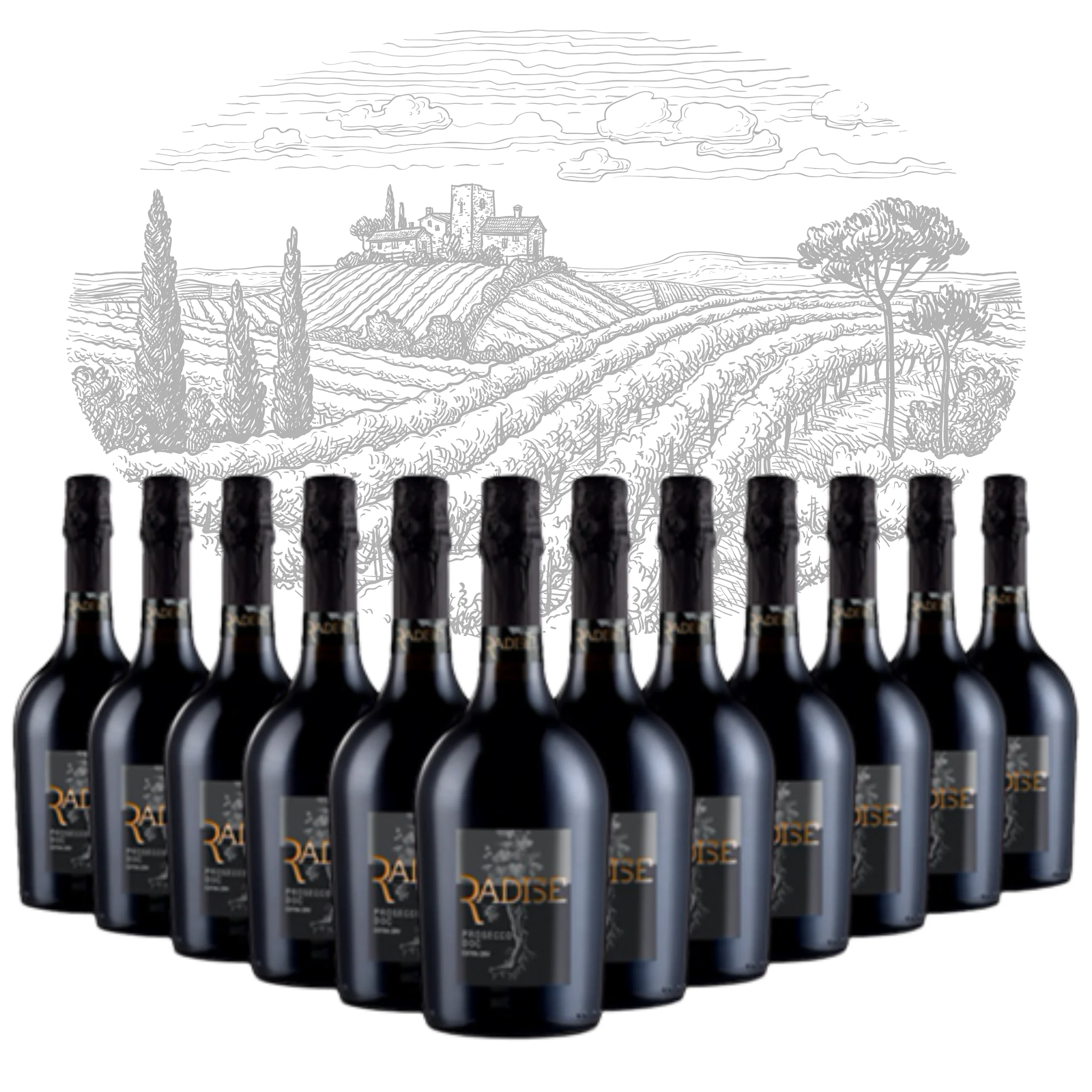 Premium Italian Prosecco DOC Extra Dry Sparkling WIne - Radise - bottles 750 ml alcohol 11% for export