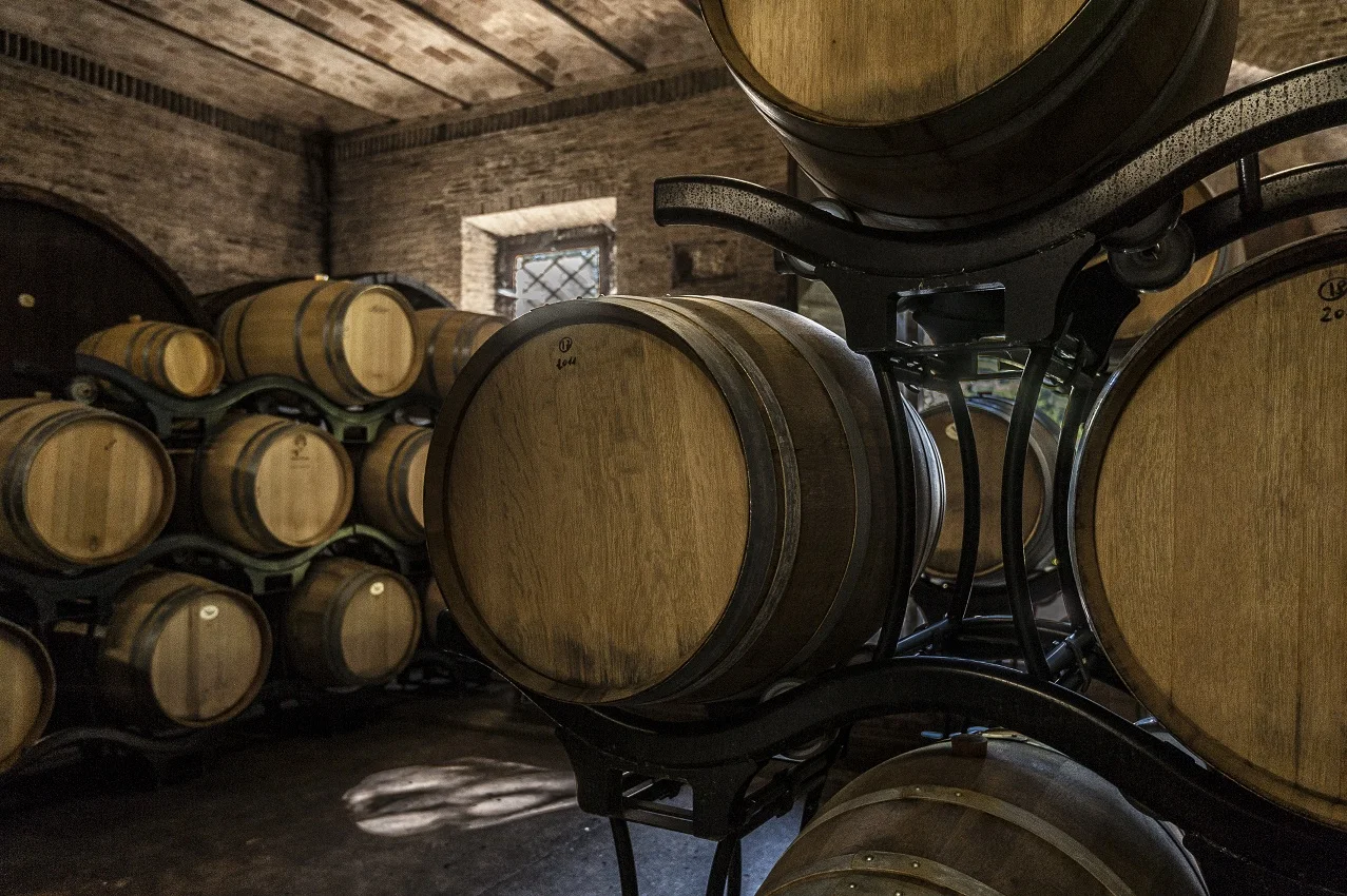 White wine supertuscan igt Chardoannay  2016