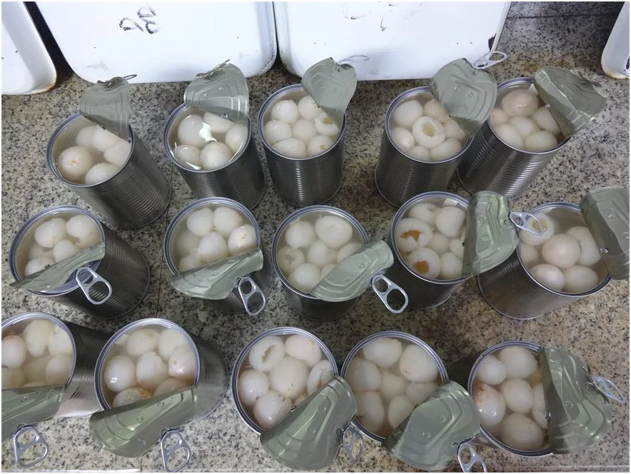 
Wholesale healthy canned lychee with competitive price from Viet Nam 