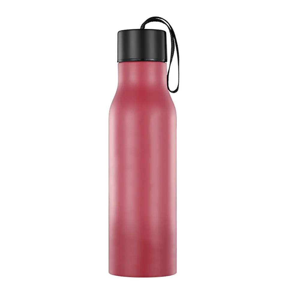 BPA-Free Stainless Steel Chameleon Water Bottle