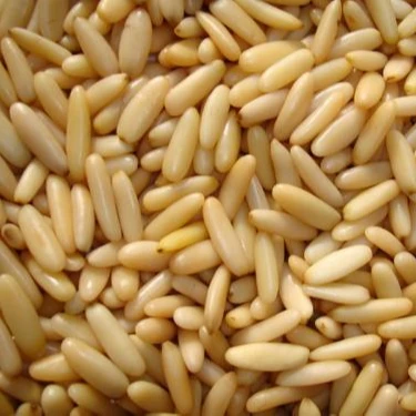 Certified pine nuts without shell for export