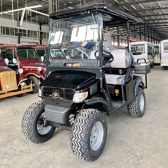 
Arrival Hot Selling on discount for New 2 seats Battery Operated electric golf cart ready to ship 