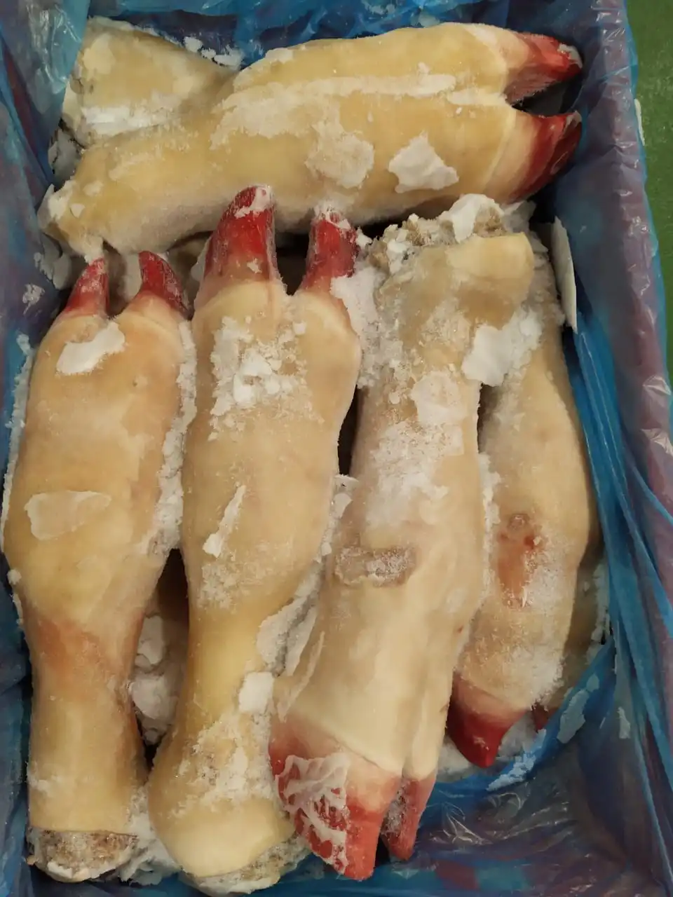 Органическая говядина, свежая обработка, замороженная говядина, ножки хорошего качества, говядина, низкая цена