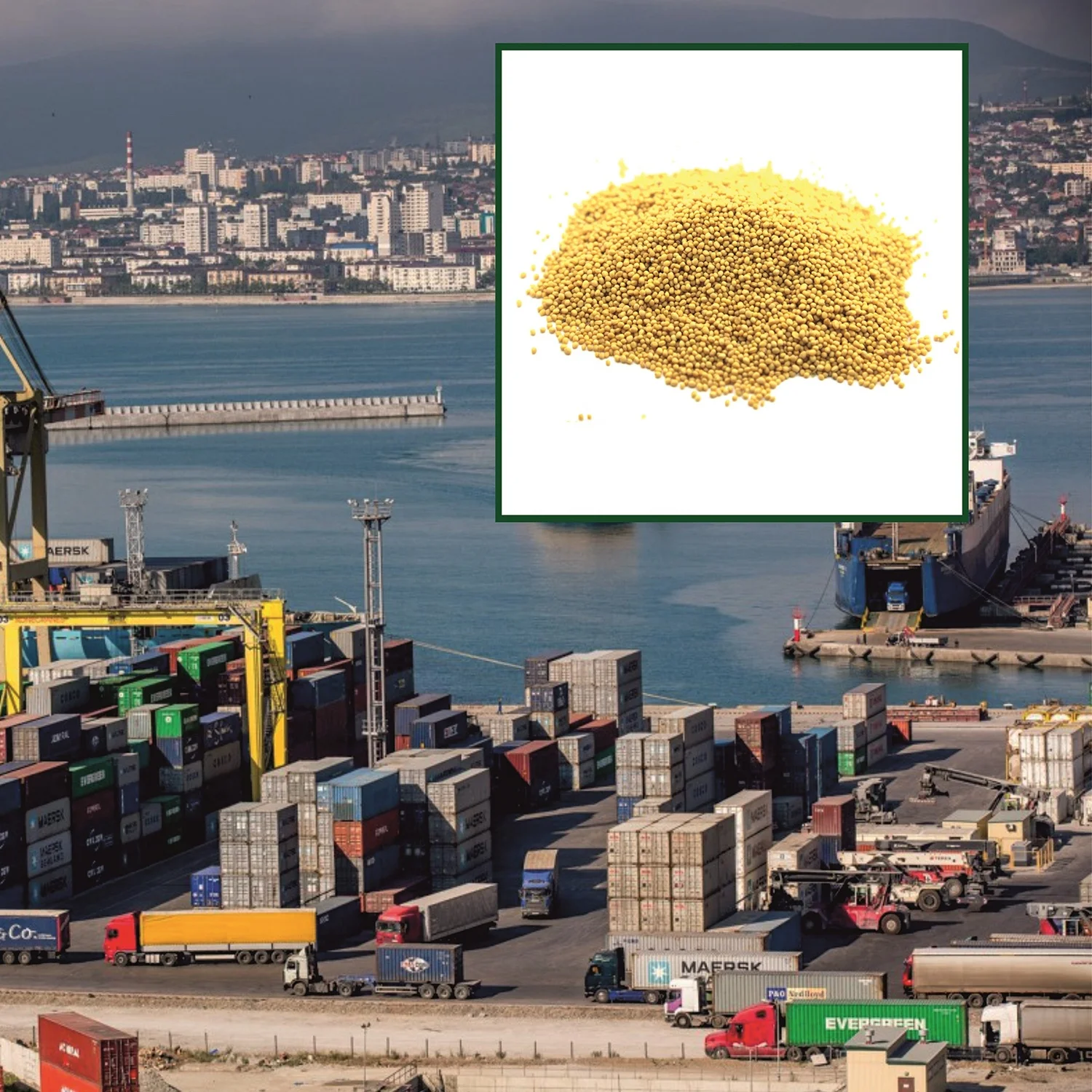 
Hiqh quality yellow mustard seeds pre-packed or in bulk, product of Russia 