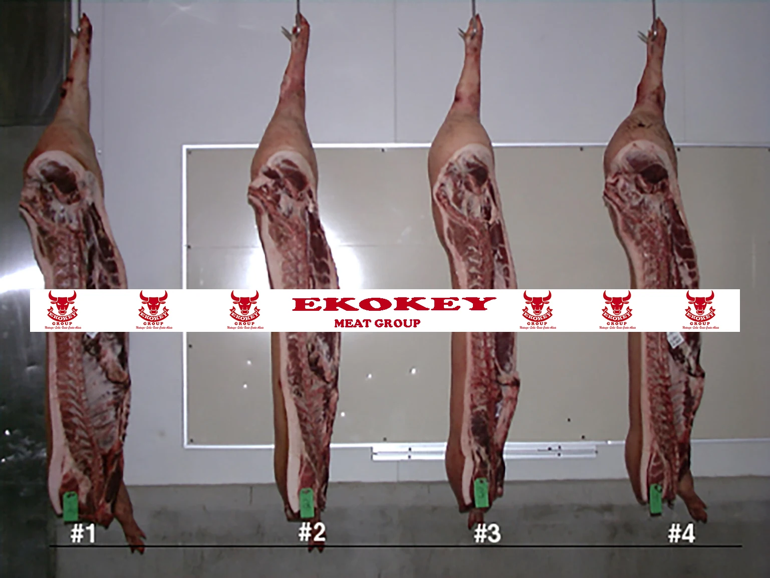 ORGANIC FRESH FROZEN BEEF CARCASS MEAT FROZEN PROCESSING HIGH QUALITY BEEF CARCASS MEAT ORIGIN MONTENEGRO