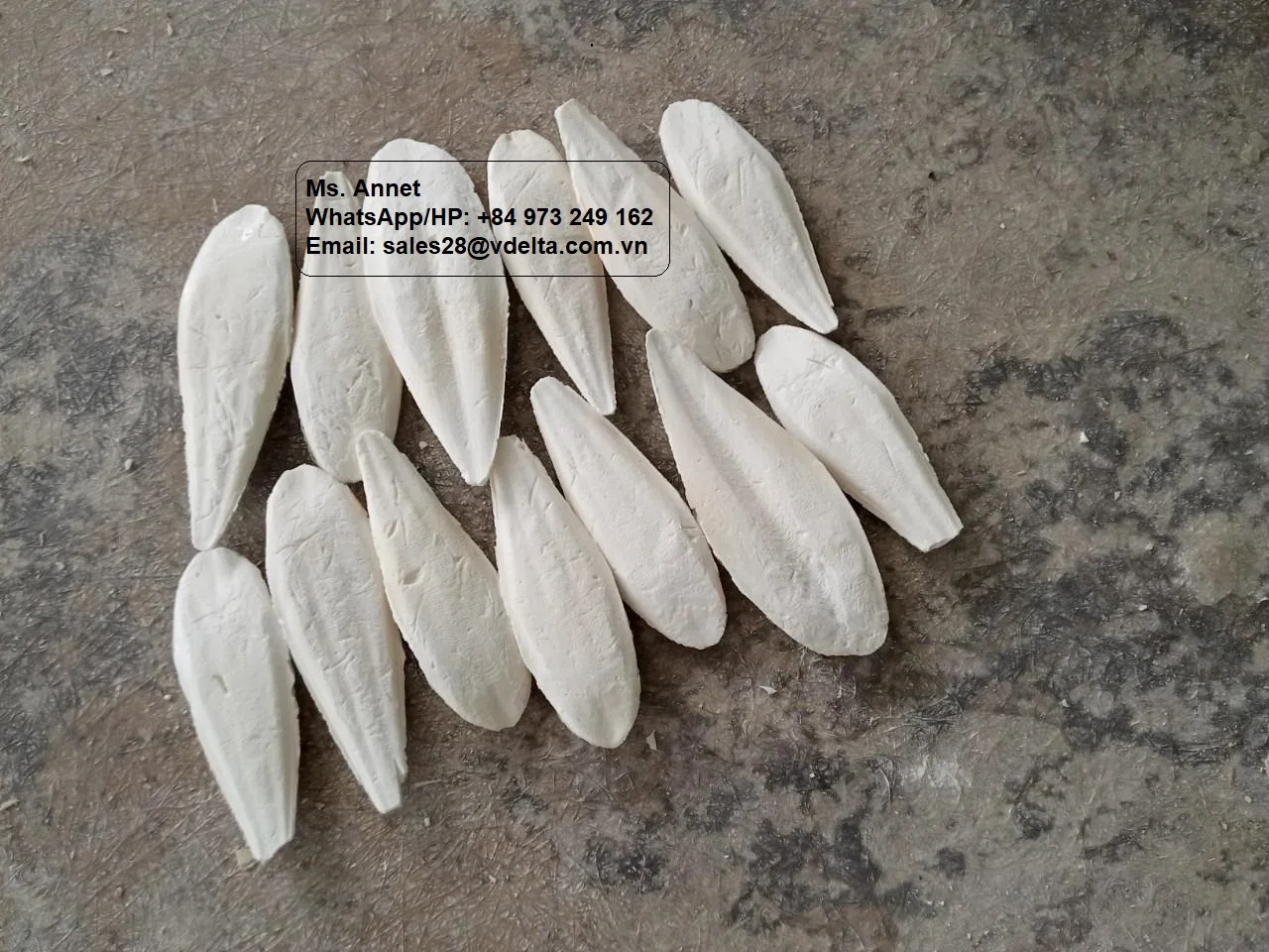 Vietnam Cuttlefish Bone for Pet feed/ Bird feed / Jenny +84 905 926 612