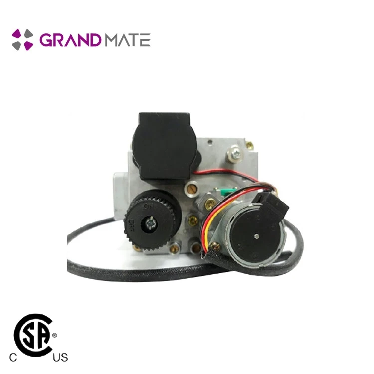  Натуральный редукционный температуры клапан регулировки газа