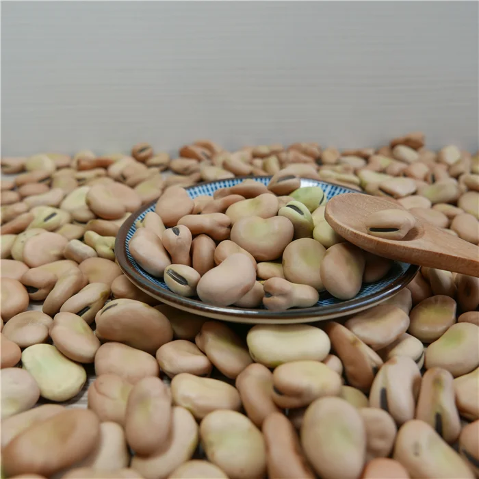 
High Quality Dry Broad Bean Fava Bean Faba Bean For Sale 