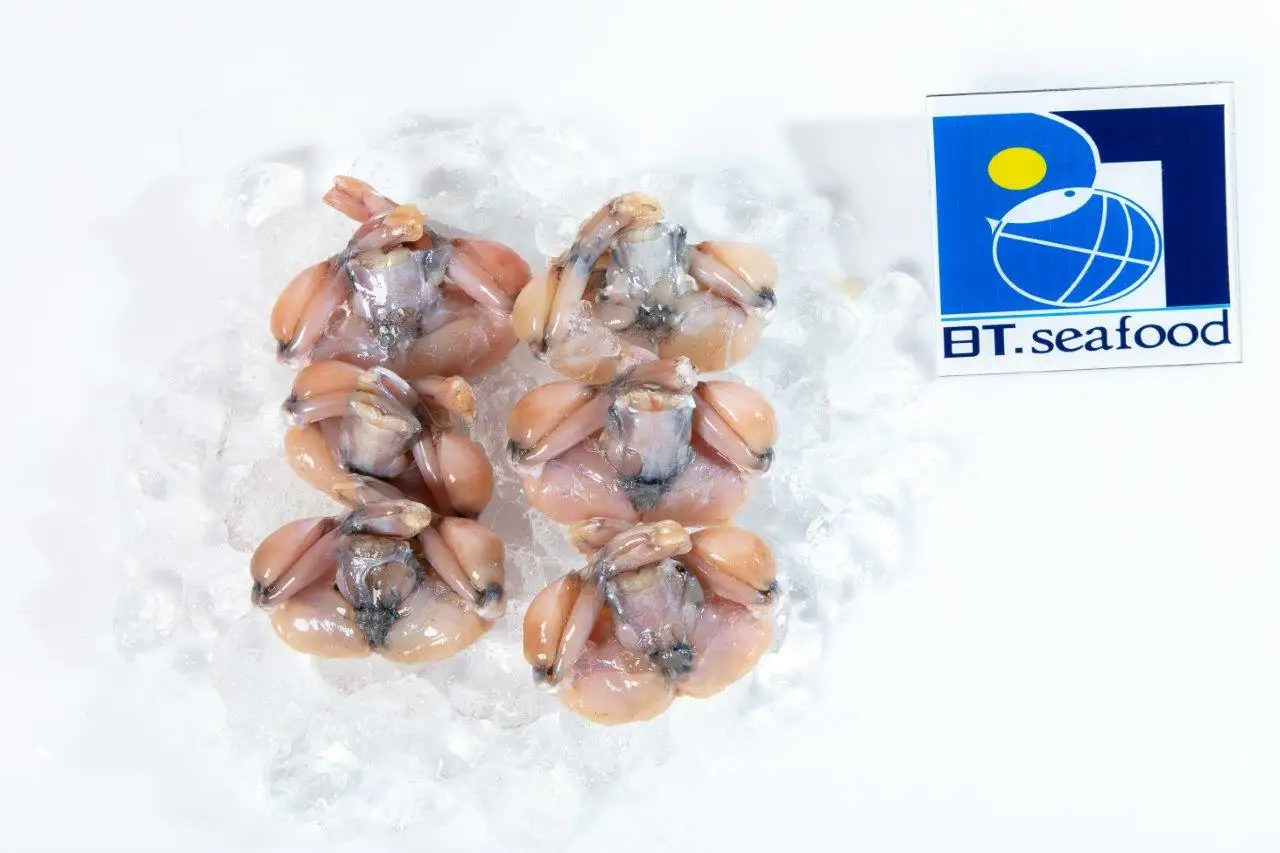 Жевательные Замороженные ножки лягушки IQF/IWP-чистый и хороший продукт от специальных водных продуктов