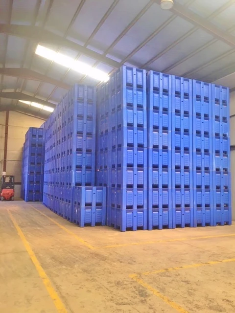 wholesale imported 4p 6p pure SPRING WHITE GARLIC FROM SPAIN. red garlic in bulk 10kg mesh bag