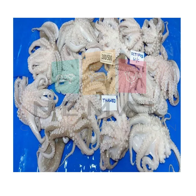 
HOT SELLING FROZEN OCTOPUS ORIGIN PAKISTAN 