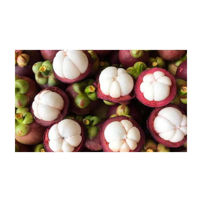 High Quality Premium Grade Mangosteen Fresh Fruit From Thailand