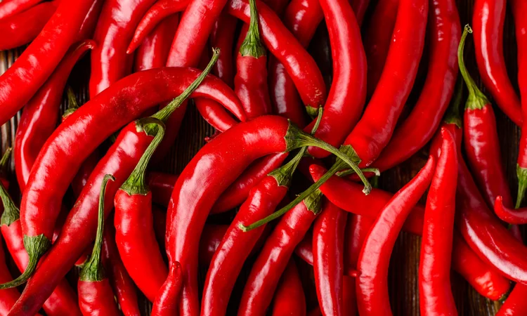 Capsicum paprika Oleoresin пищевые ароматы Экстракт Красного перца Чили