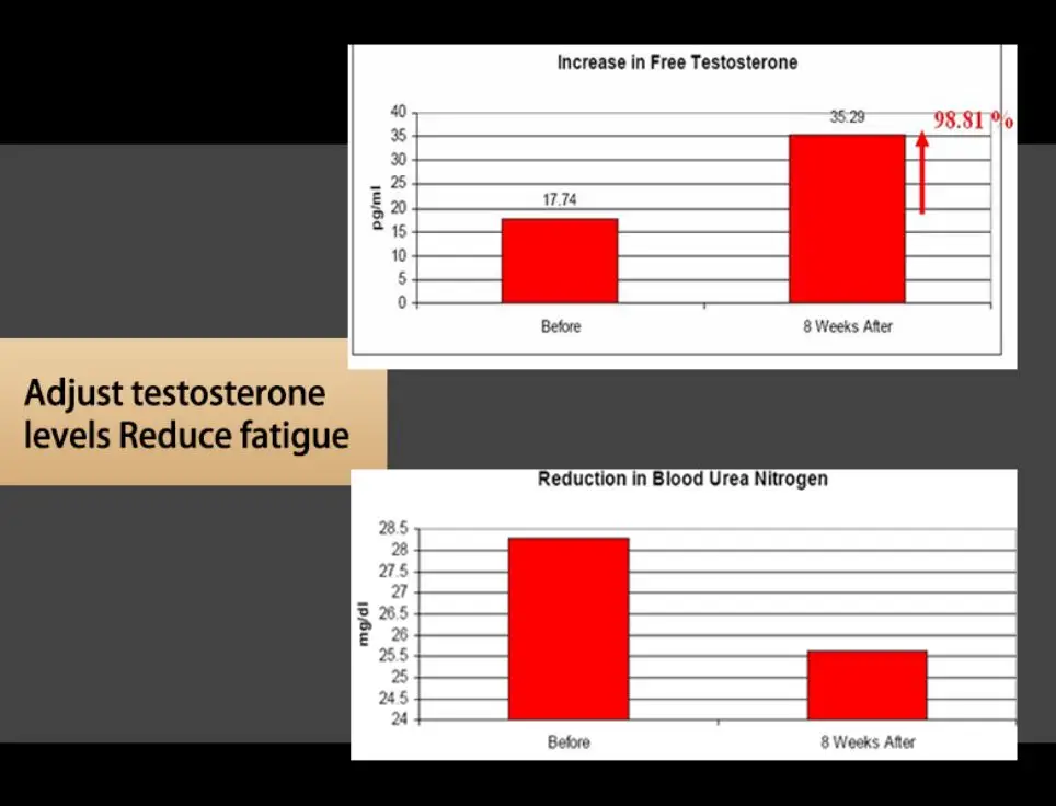 provide energy to men long time sexual food