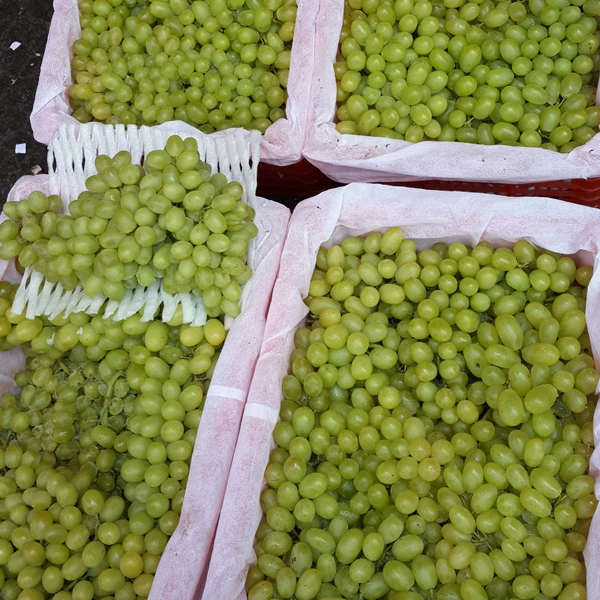 
Fresh Grapes (Seedless / Seeded, Black, Green, Red) For Sale 
