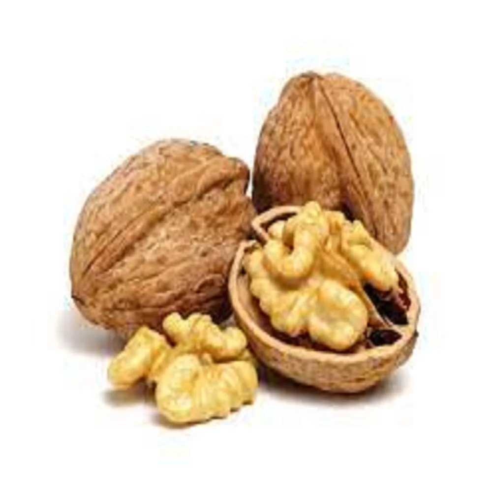 Highly Nutritious raw peanuts without shell Thighs Pieces