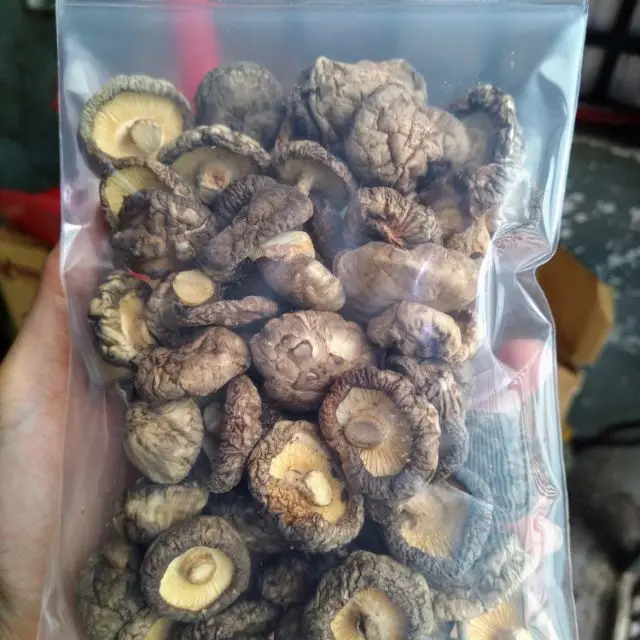 Shiitake гриб/экспорт сушеных гриб оптом/Вьетнам Экспортер Ms. Люси + 84 929 397