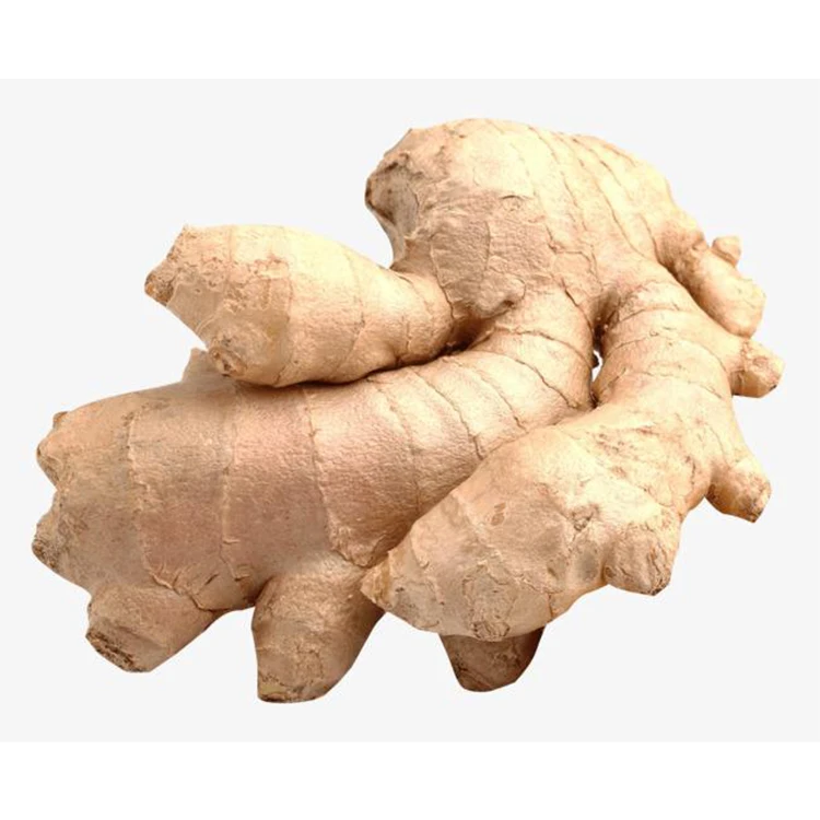 Wholesale organic fresh ginger price