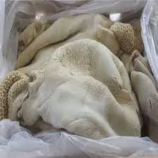 Сушеные коров и буйвола