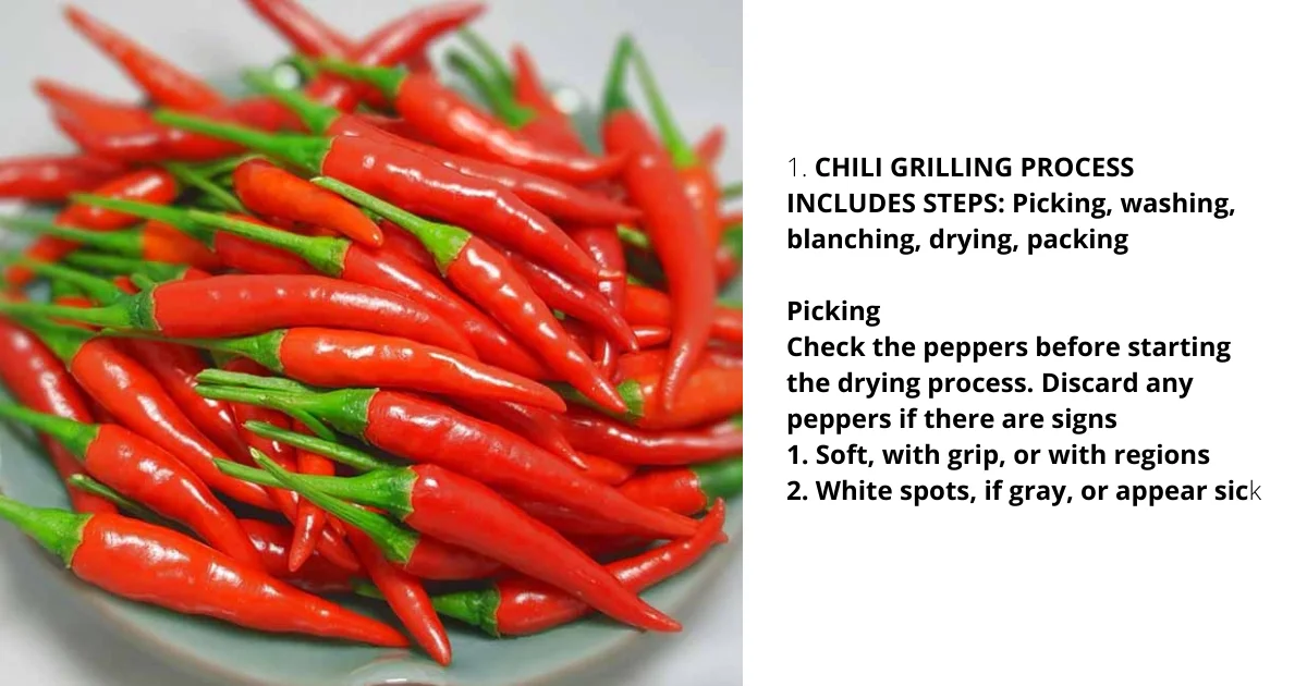 In binh dinh vietnam and available in bulk and wholesale price and best quality and hot spicy and used as spices chili frozen