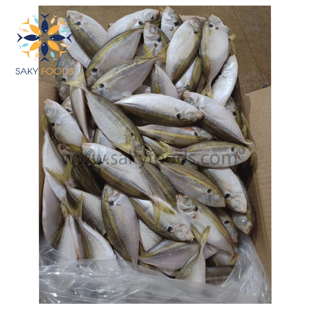 Wholesale Frozen Yellow Stripe trevally fish with sale good price